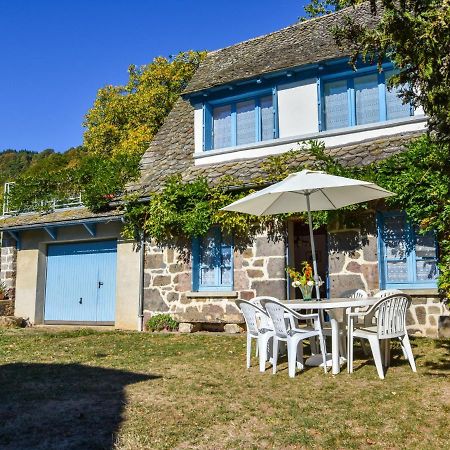 Beautiful Villa In The Parc Des Volcans D Auvergne Vic-sur-Cere Exterior photo