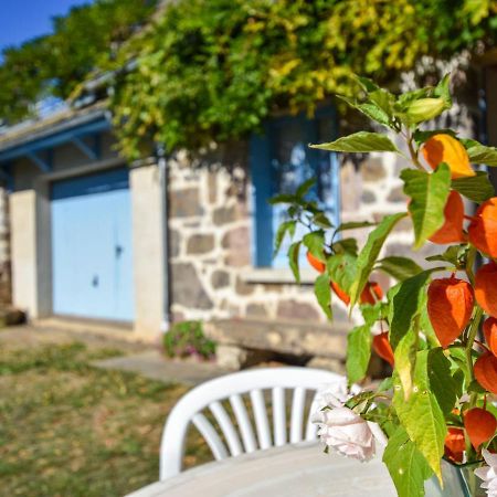 Beautiful Villa In The Parc Des Volcans D Auvergne Vic-sur-Cere Exterior photo