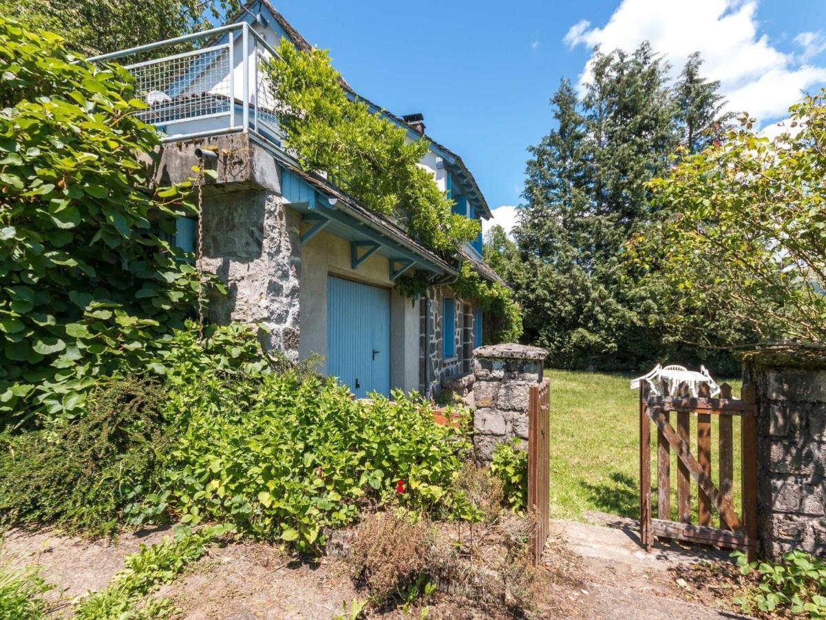 Beautiful Villa In The Parc Des Volcans D Auvergne Vic-sur-Cere Exterior photo
