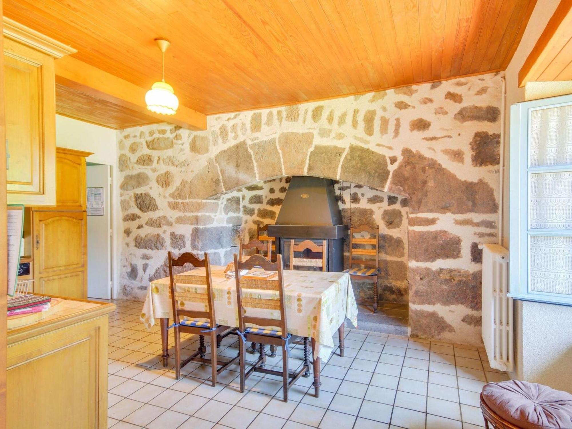 Beautiful Villa In The Parc Des Volcans D Auvergne Vic-sur-Cere Exterior photo