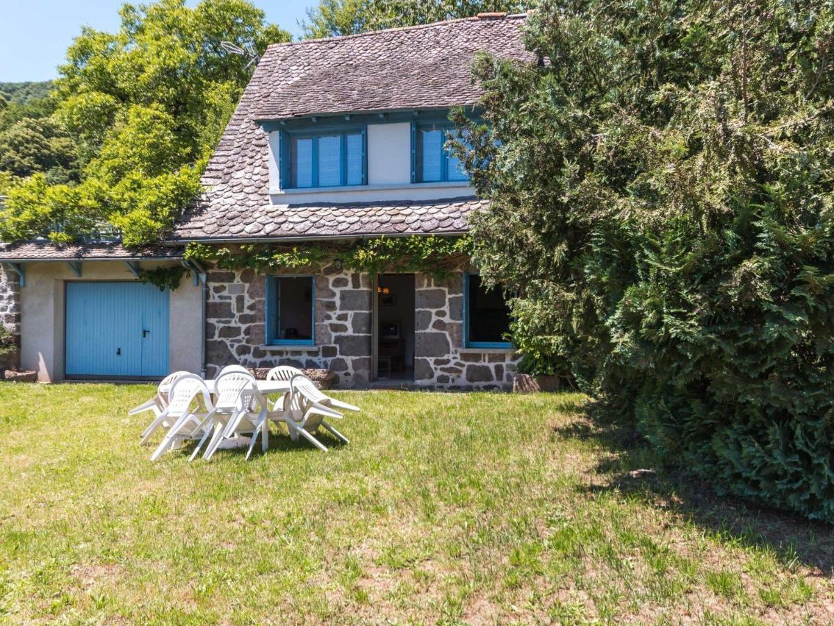 Beautiful Villa In The Parc Des Volcans D Auvergne Vic-sur-Cere Exterior photo