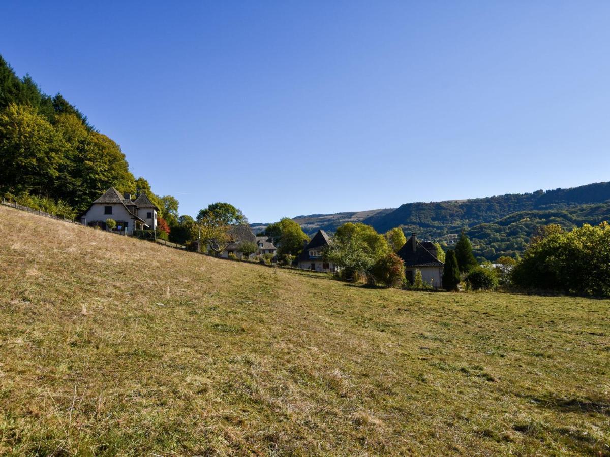 Beautiful Villa In The Parc Des Volcans D Auvergne Vic-sur-Cere Exterior photo