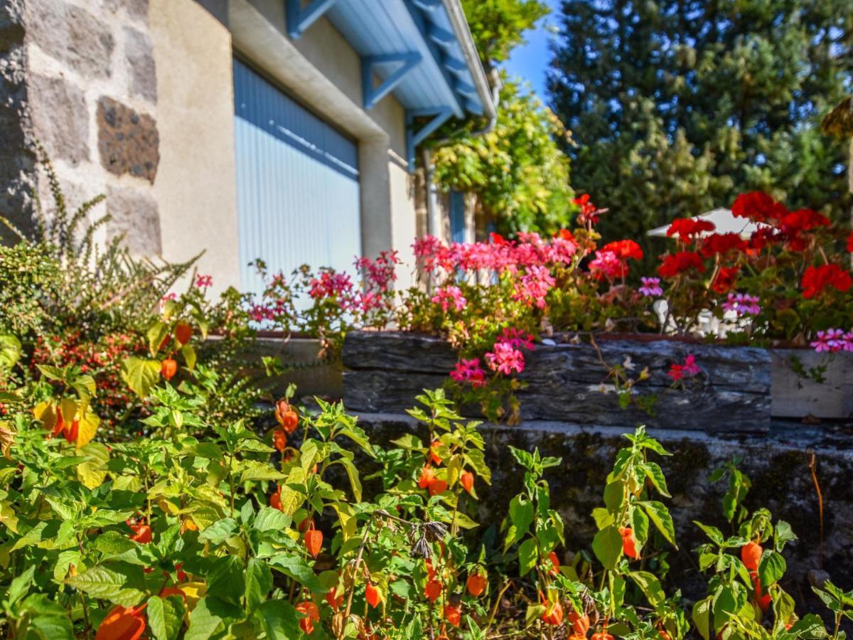 Beautiful Villa In The Parc Des Volcans D Auvergne Vic-sur-Cere Exterior photo
