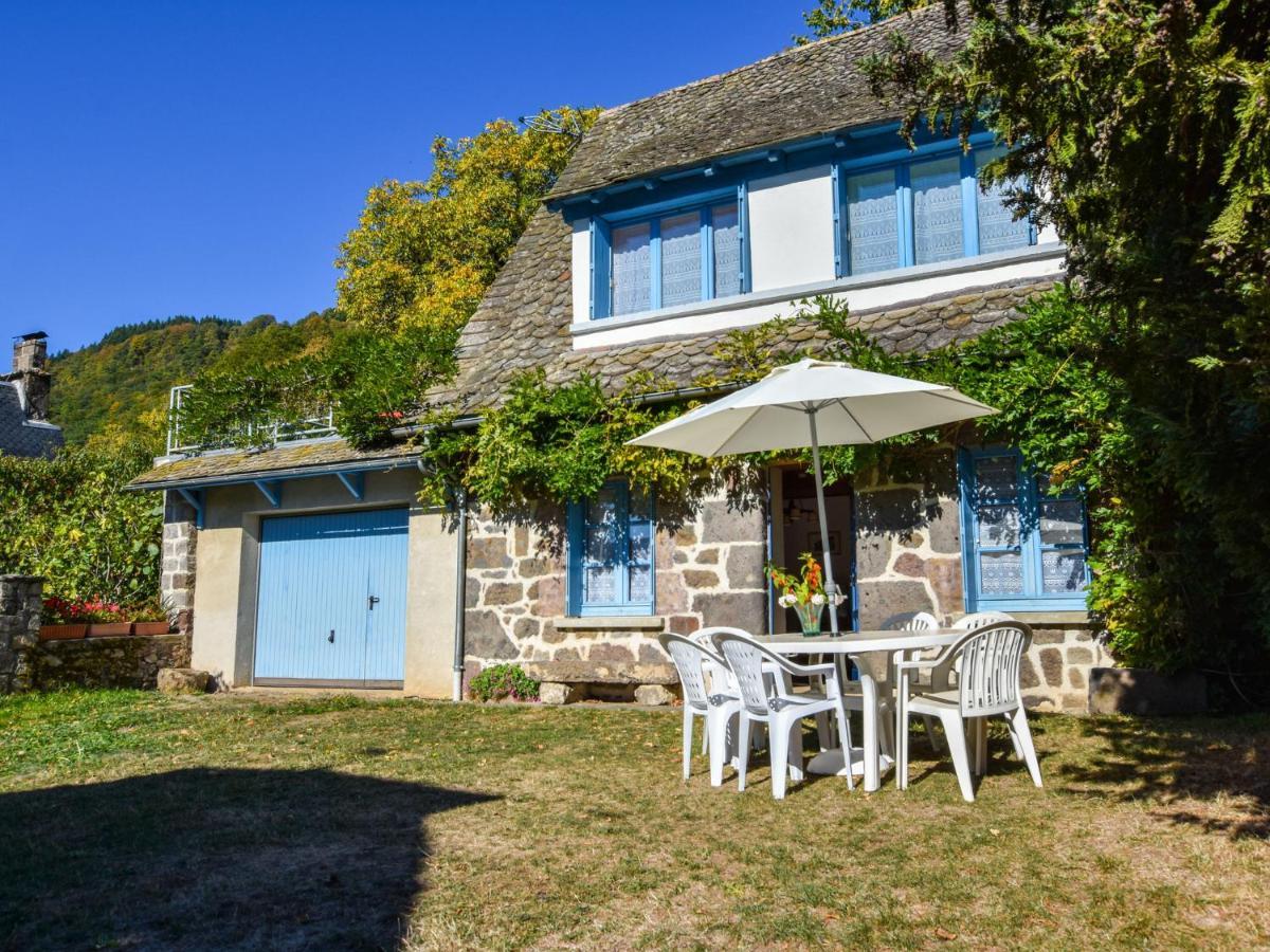 Beautiful Villa In The Parc Des Volcans D Auvergne Vic-sur-Cere Exterior photo